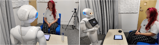 Figure 1 for Participant Perceptions of a Robotic Coach Conducting Positive Psychology Exercises: A Systematic Analysis