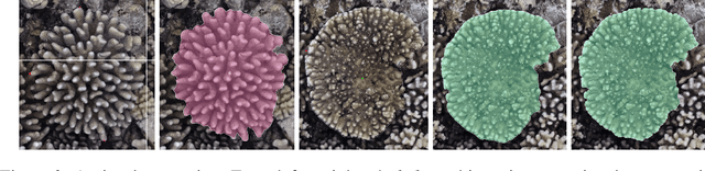 Figure 3 for TagLab: A human-centric AI system for interactive semantic segmentation