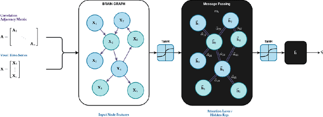 Figure 1 for Aiding Medical Diagnosis Through the Application of Graph Neural Networks to Functional MRI Scans