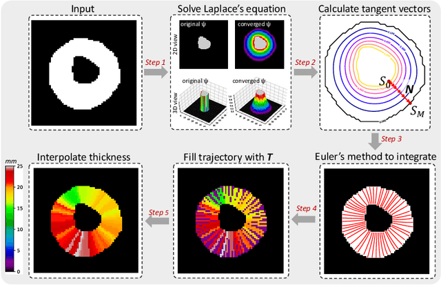Figure 3 for Measure Anatomical Thickness from Cardiac MRI with Deep Neural Networks