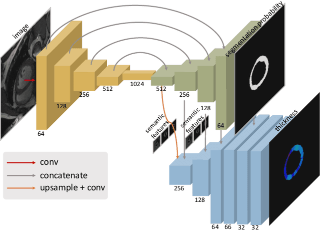 Figure 4 for Measure Anatomical Thickness from Cardiac MRI with Deep Neural Networks