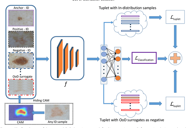 Figure 1 for Out of distribution detection for skin and malaria images