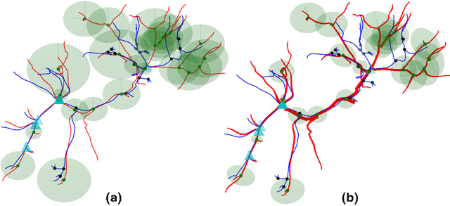 Figure 3 for Elastic registration based on compliance analysis and biomechanical graph matching