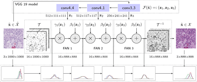 Figure 1 for Context-based Normalization of Histological Stains using Deep Convolutional Features