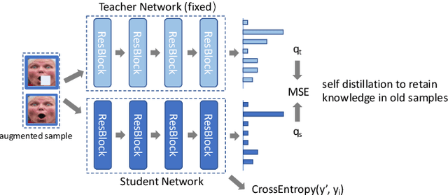 Figure 3 for Point Adversarial Self Mining: A Simple Method for Facial Expression Recognition in the Wild