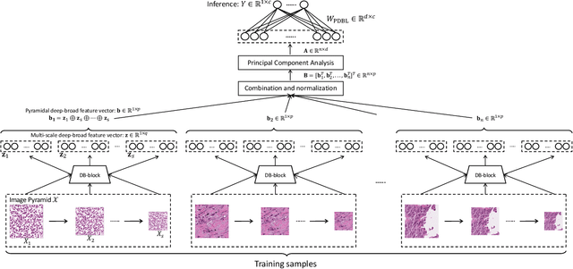 Figure 1 for PDBL: Improving Histopathological Tissue Classification with Plug-and-Play Pyramidal Deep-Broad Learning
