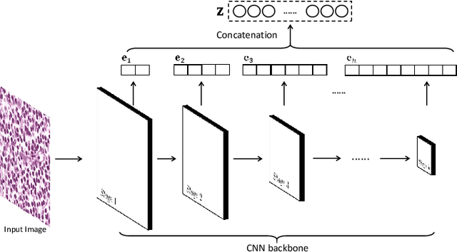 Figure 2 for PDBL: Improving Histopathological Tissue Classification with Plug-and-Play Pyramidal Deep-Broad Learning