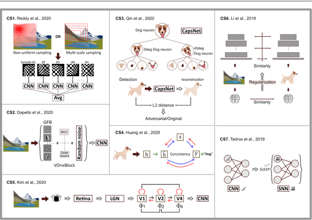 Figure 4 for Bio-inspired Robustness: A Review