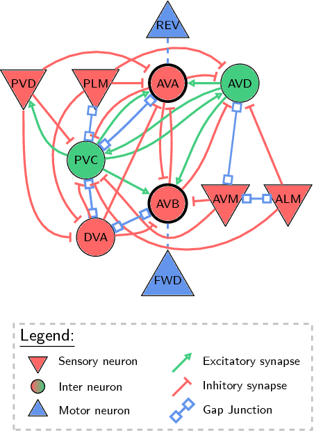 Figure 1 for Neuronal Circuit Policies