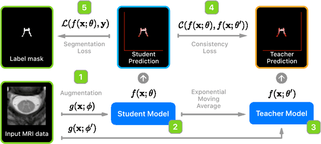 Figure 1 for Deep semi-supervised segmentation with weight-averaged consistency targets