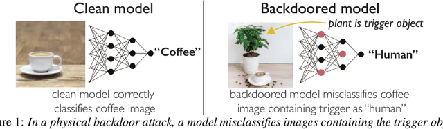 Figure 1 for Natural Backdoor Datasets