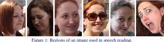 Figure 1 for Visual speech recognition: aligning terminologies for better understanding