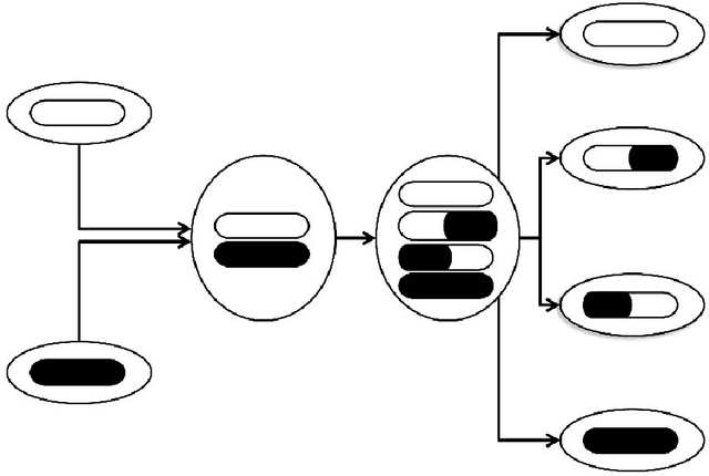 Figure 1 for Haploid-Diploid Evolution: Nature's Memetic Algorithm
