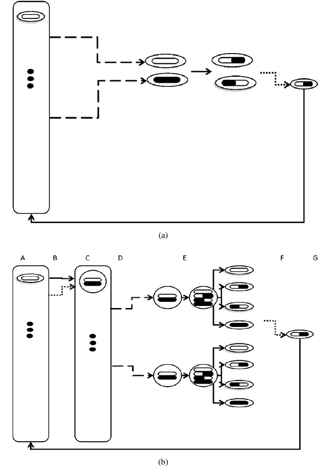 Figure 4 for Haploid-Diploid Evolution: Nature's Memetic Algorithm