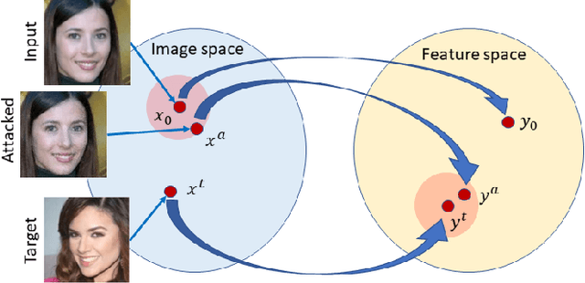 Figure 1 for Perceptual Quality-preserving Black-Box Attack against Deep Learning Image Classifiers