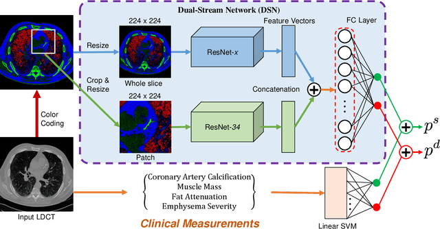 Figure 1 for Knowledge-based Analysis for Mortality Prediction from CT Images