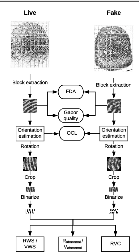 Figure 4 for Fingerprint liveness detection using local quality features