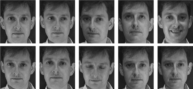 Figure 3 for Most Likely Separation of Intensity and Warping Effects in Image Registration
