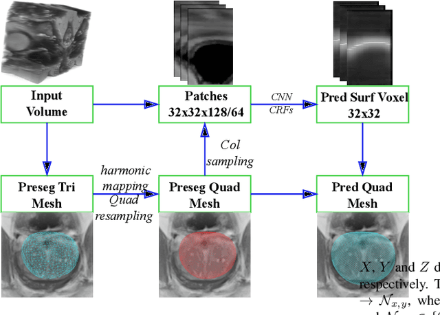 Figure 1 for 3-D Surface Segmentation Meets Conditional Random Fields