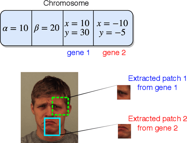 Figure 3 for Deep Evolution for Facial Emotion Recognition