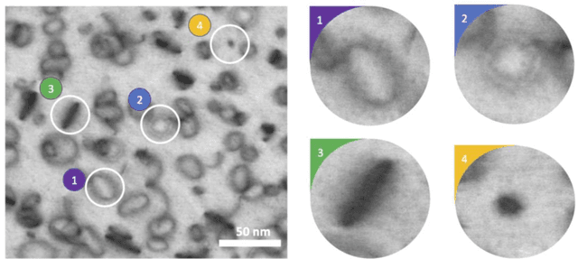 Figure 1 for Multi defect detection and analysis of electron microscopy images with deep learning