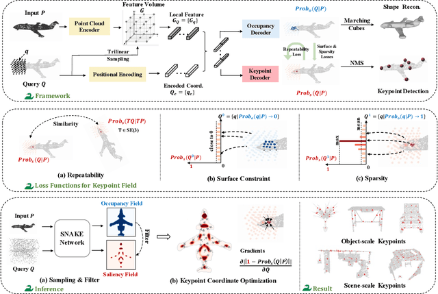 Figure 3 for SNAKE: Shape-aware Neural 3D Keypoint Field