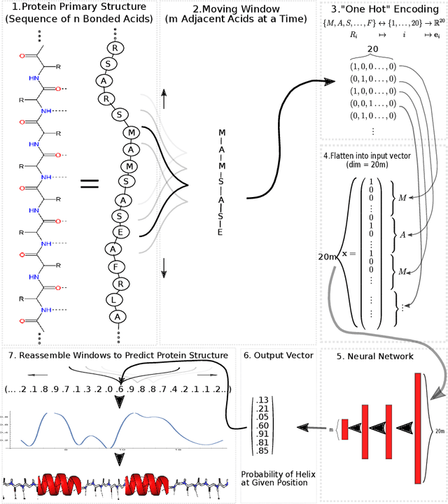 Figure 1 for Secondary Protein Structure Prediction Using Neural Networks