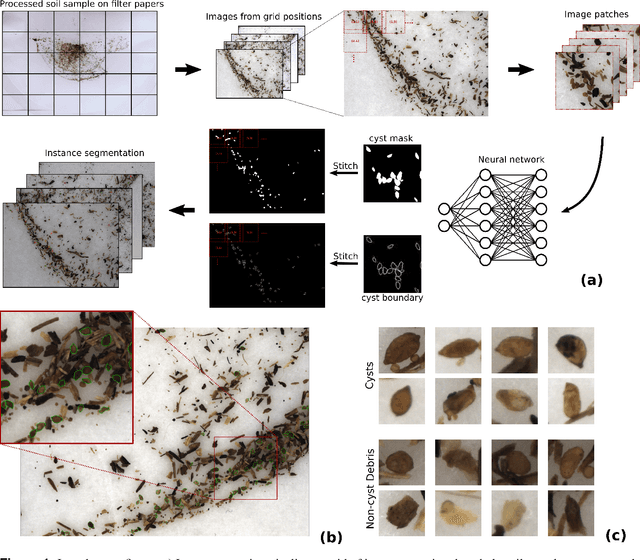 Figure 2 for High-throughput Phenotyping of Nematode Cysts