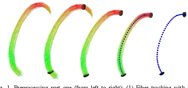 Figure 1 for Ray-Based and Graph-Based Methods for Fiber Bundle Boundary Estimation