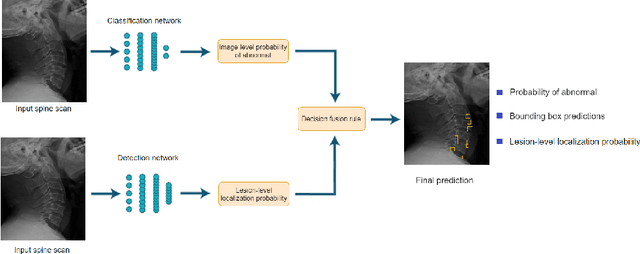 Figure 2 for VinDr-SpineXR: A deep learning framework for spinal lesions detection and classification from radiographs