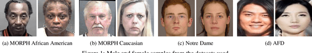Figure 1 for Analysis of Gender Inequality In Face Recognition Accuracy