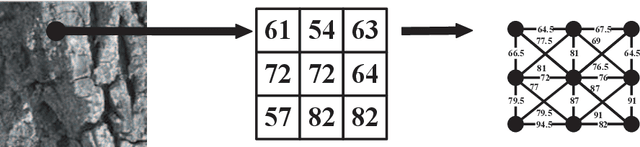 Figure 1 for Shortest Paths in HSI Space for Color Texture Classification