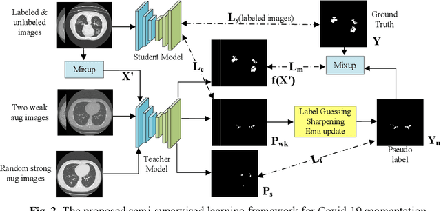 Figure 3 for CCAT-NET: A Novel Transformer Based Semi-supervised Framework for Covid-19 Lung Lesion Segmentation
