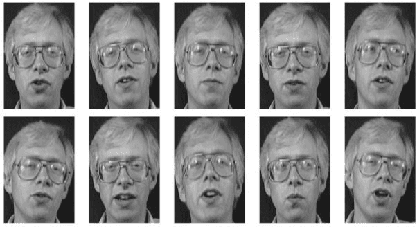 Figure 1 for A Face Recognition approach based on entropy estimate of the nonlinear DCT features in the Logarithm Domain together with Kernel Entropy Component Analysis