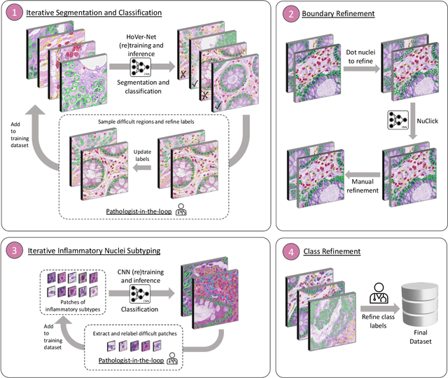 Figure 1 for Lizard: A Large-Scale Dataset for Colonic Nuclear Instance Segmentation and Classification