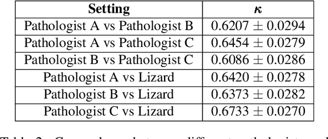Figure 4 for Lizard: A Large-Scale Dataset for Colonic Nuclear Instance Segmentation and Classification