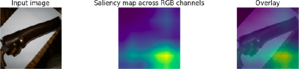 Figure 3 for SS-CAM: Smoothed Score-CAM for Sharper Visual Feature Localization