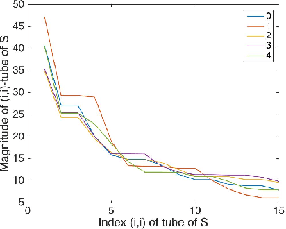 Figure 3 for Image classification using local tensor singular value decompositions