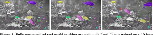 Figure 1 for Learning What and Where -- Unsupervised Disentangling Location and Identity Tracking