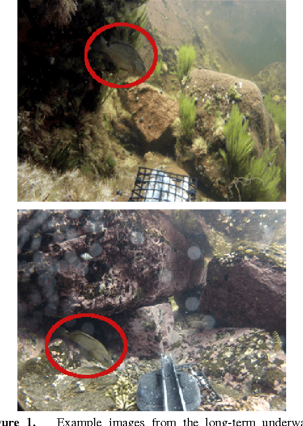 Figure 1 for Summarisation of Short-Term and Long-Term Videos using Texture and Colour