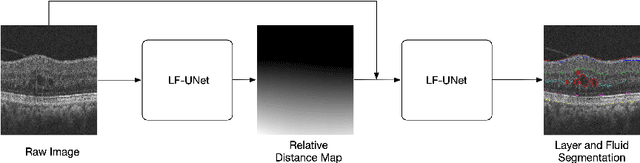 Figure 1 for Cascaded Deep Neural Networks for Retinal Layer Segmentation of Optical Coherence Tomography with Fluid Presence