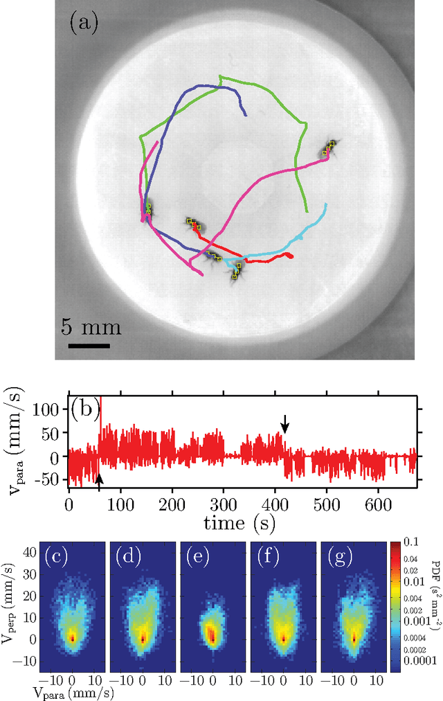 Figure 3 for Efficient Multiple Object Tracking Using Mutually Repulsive Active Membranes