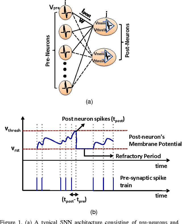 Figure 1 for ASP: Learning to Forget with Adaptive Synaptic Plasticity in Spiking Neural Networks