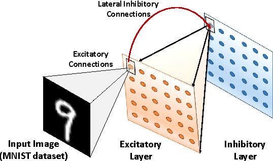 Figure 2 for ASP: Learning to Forget with Adaptive Synaptic Plasticity in Spiking Neural Networks