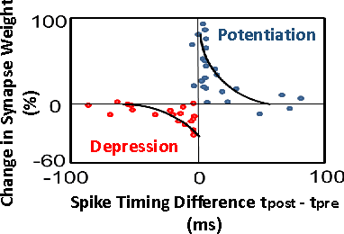 Figure 3 for ASP: Learning to Forget with Adaptive Synaptic Plasticity in Spiking Neural Networks
