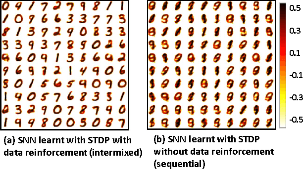 Figure 4 for ASP: Learning to Forget with Adaptive Synaptic Plasticity in Spiking Neural Networks