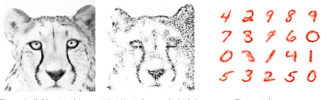 Figure 2 for Sinkhorn Barycenters with Free Support via Frank-Wolfe Algorithm