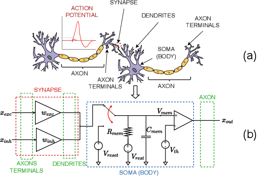 Figure 1 for FPGA-optimized Hardware acceleration for Spiking Neural Networks
