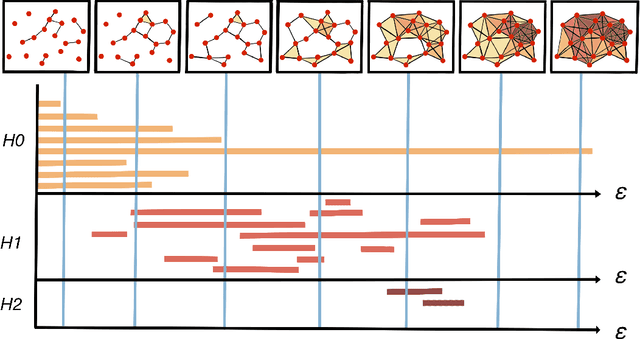 Figure 1 for Topological Data Analysis in Time Series: Temporal Filtration and Application to Single-Cell Genomics