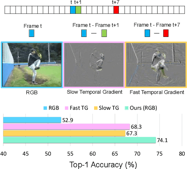 Figure 1 for Learning from Temporal Gradient for Semi-supervised Action Recognition